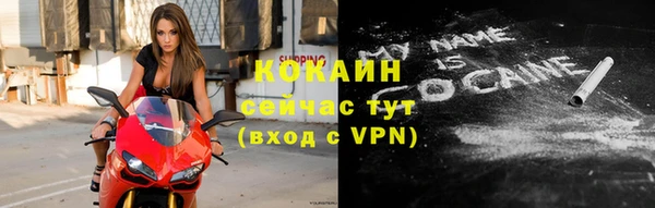 сатива Михайловка