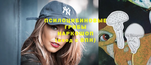 дмт Валдай