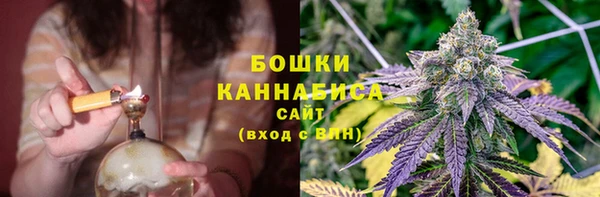 сатива Михайловка